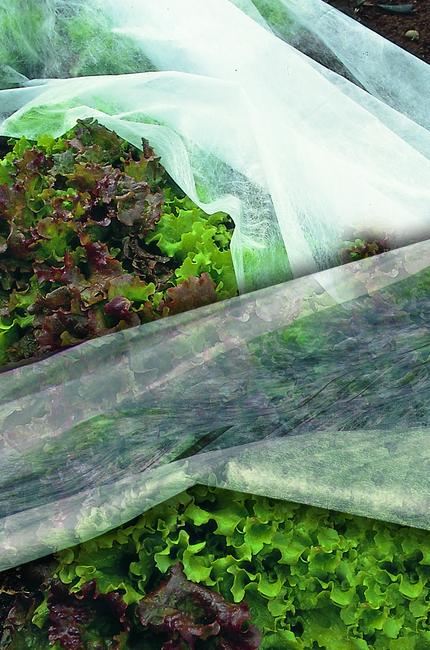 Ortoclima Voile de forçage pour cultures