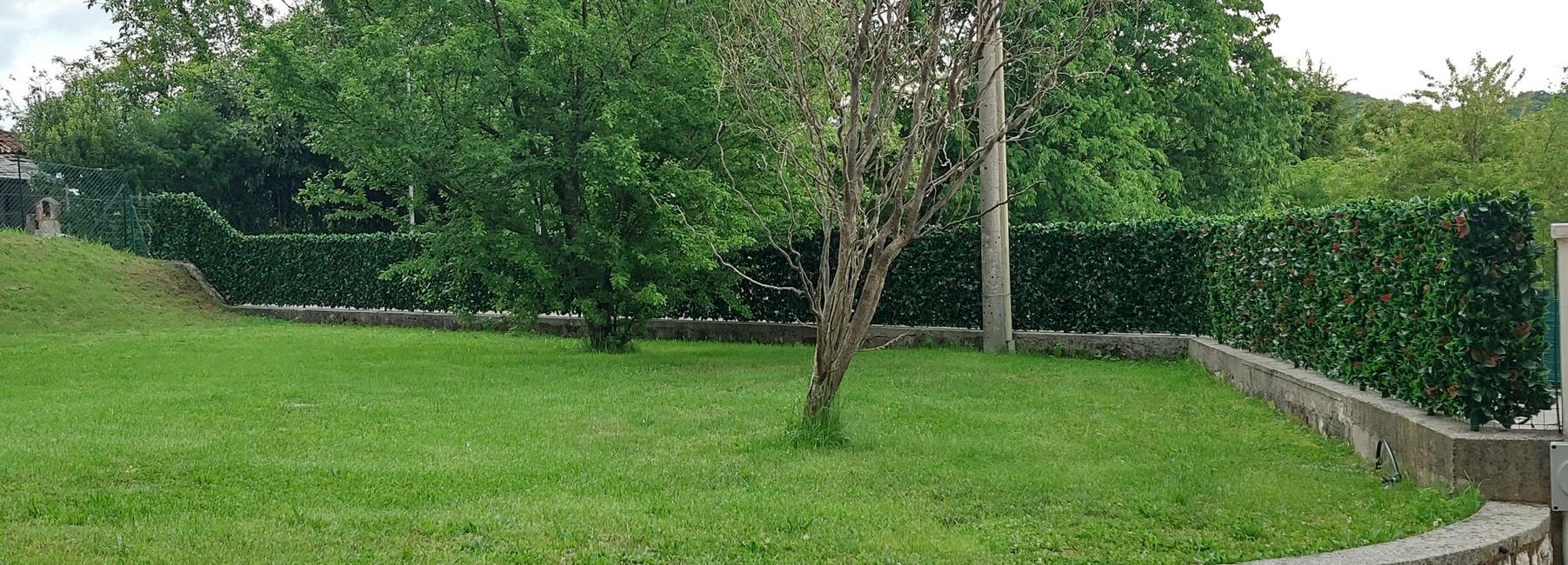 Divy 3D Plus Photinia Haie synthétique 3D en rouleau imitation Photinia