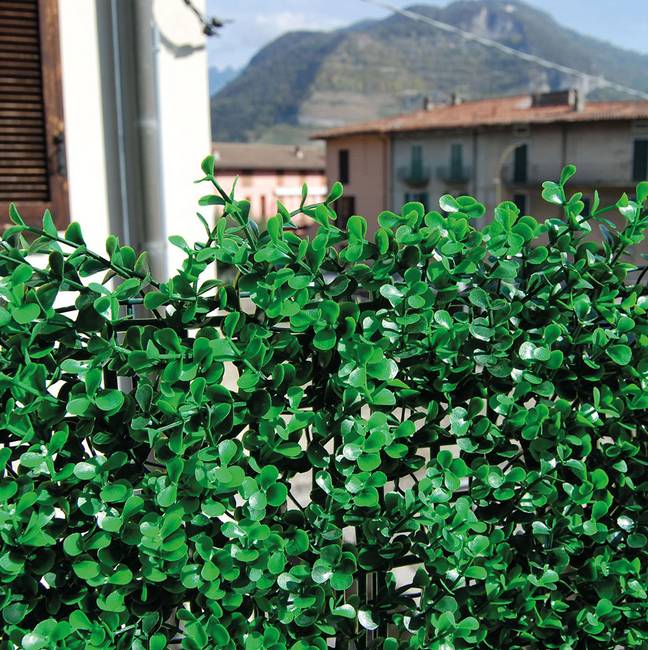 Divy Buxus Intense Siepe sintetica componibile con foglie di bosso intenso