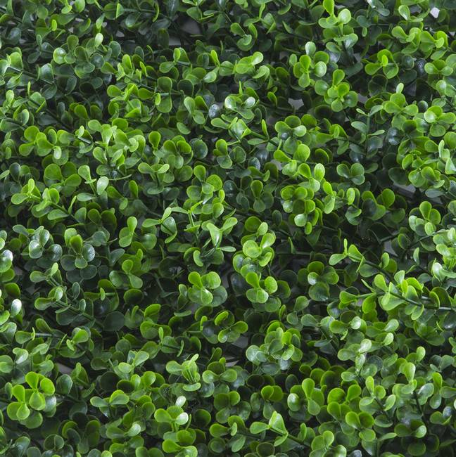 Divy Buxus Intense Synthetic hedge with intense green box leaves in interlocking modules