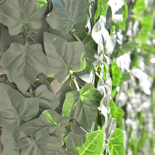 Divy Hedera Plus Siepe sintetica a rotolo con foglie simili all'edera a schermatura totale