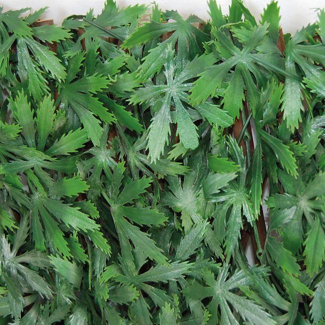 Divy X-Tens Acer Palmatum Synthetic hedge with maple leaves on adaptable trellis