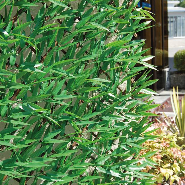 Divy X-Tens Bamboo Haie synthétique en feuilles de bambou sur treillis extensible