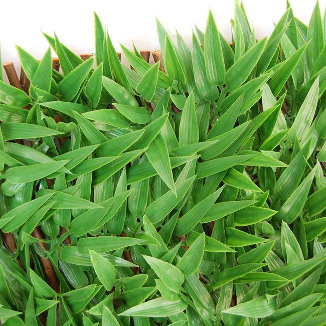 Divy X-Tens Bamboo Synthetic hedge with bamboo leaves on adaptable trellis