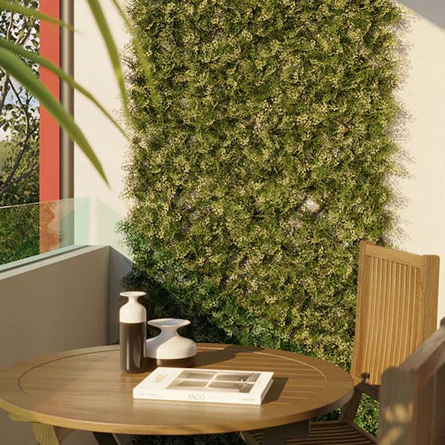 Divy X-Tens Cyprus Synthetic hedge with Cyprus leaves on adaptable trellis