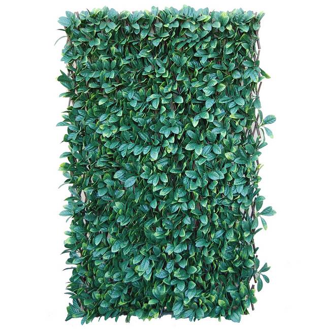 Divy X-Tens Osmanthus Siepe sintetica su traliccio in salice con foglie di osmanto