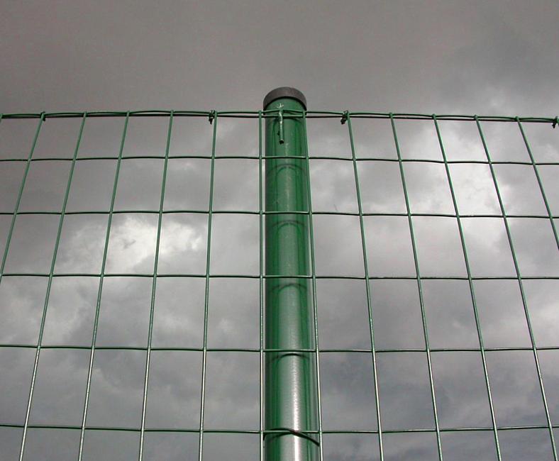 Esaplax 50 x 76 mm The versatile mesh
