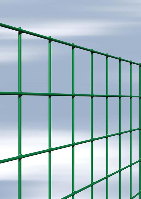 Esaplax 50x76 mm La clôture versatile