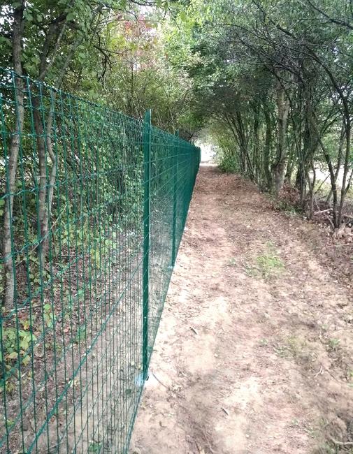 Everplax in green The elegant fencing