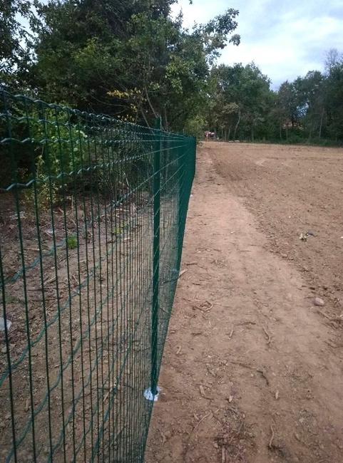 Everplax in green The elegant fencing