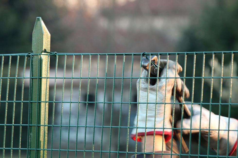 Fil d’attache vert Ø 1.8 Le meilleur fil d'attache