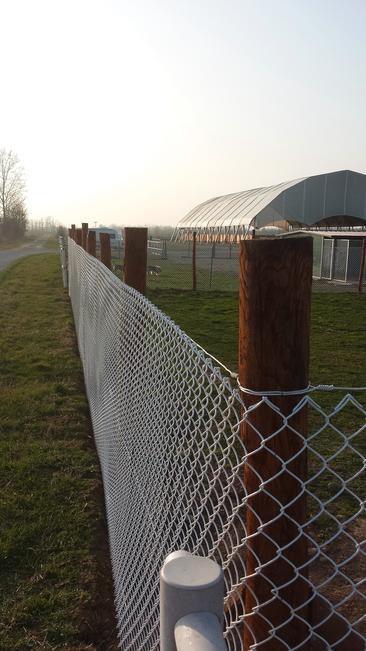 Filo da tensione Ø 4 bianco Spesso ma malleabile