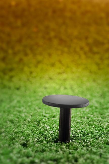 Ground cover peg Especially for ground covers