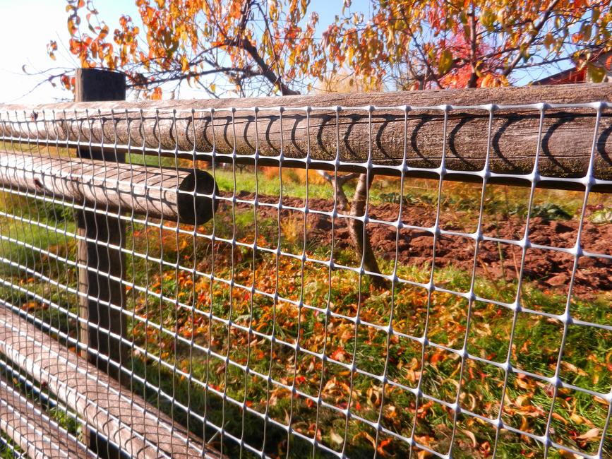 Millennium silver As tough as metal