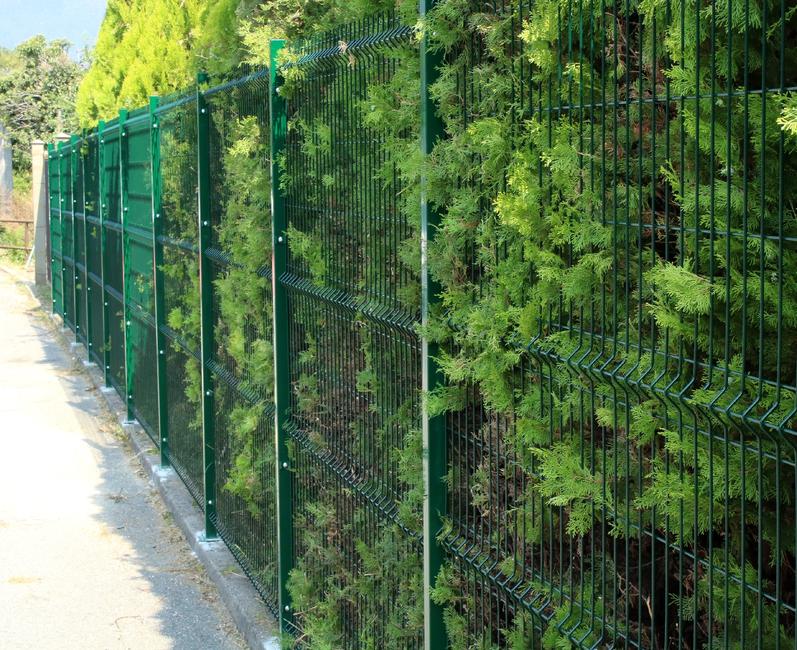 Panopro green post with plate For cavatorta Panopro 2000 fencing