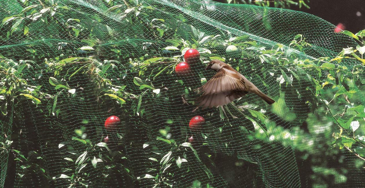 Ortoflex Bird stop net