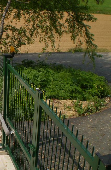 Profilé carré 14 x 14 Pour satisfaire tous vos projets de bricolage