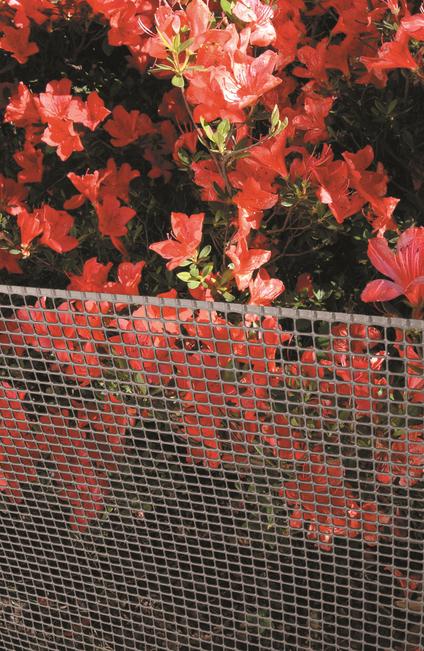 Quadra 10 argent Filet en plastique multi-usages