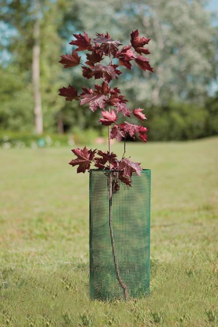 Quadra 5 vert Protection pour balcons