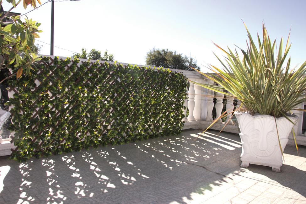 Divy 3D Trellis Haie synthétique avec treillis en PVC