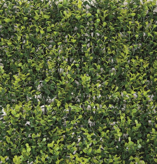 Divy 3D Panel Buxus Haie synthétique en feuilles de buis en modules à composer