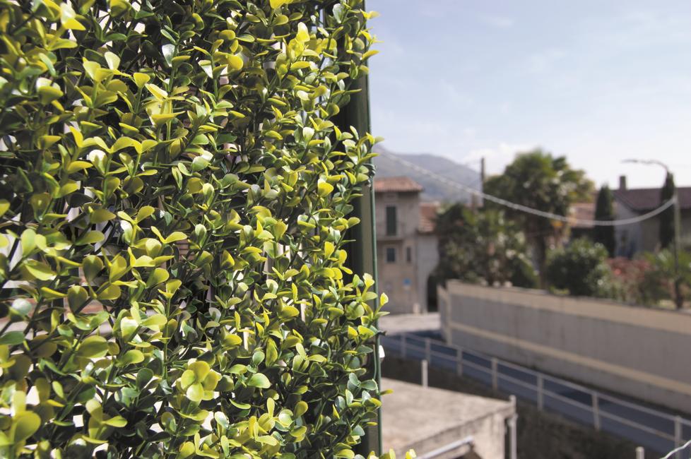 Divy 3D Panel Buxus Haie synthétique en feuilles de buis en modules à composer