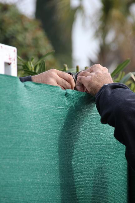 Samoa emerald Green decorative screening