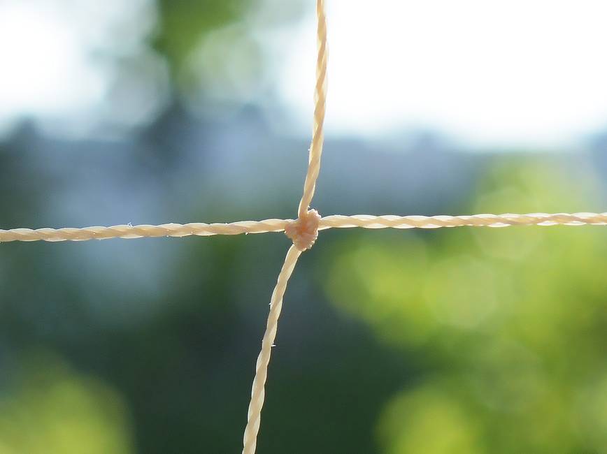 Sand coloured 50x50 anti-bird netting Polythene netting for protection against big birds