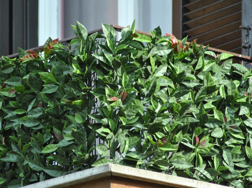 Divy 3D Plus Photinia Haie synthétique 3D en rouleau imitation Photinia