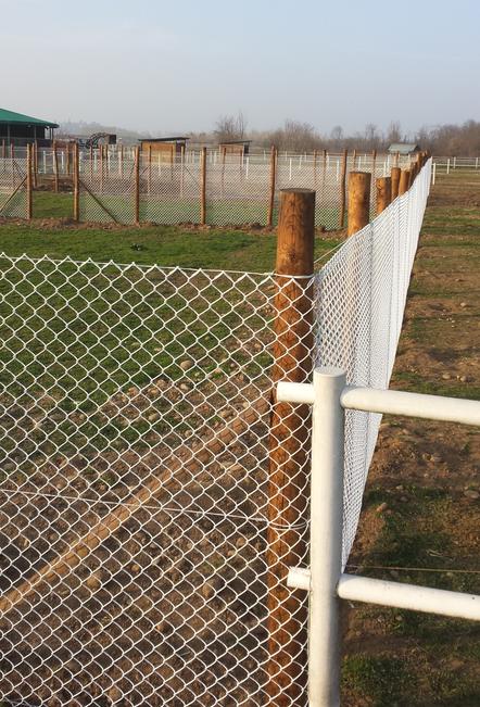 Debarked chestnut post Rustic and durable post