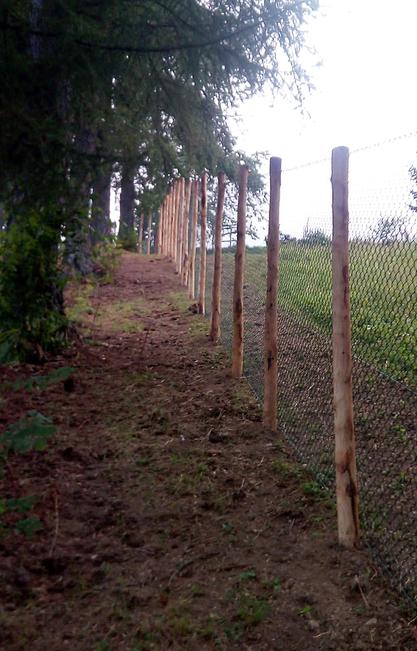 Poteau en châtaignier écorcé Le poteau rustique et robuste