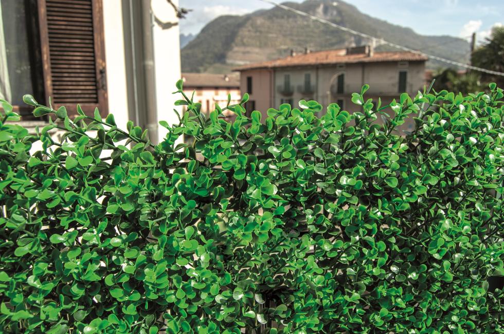 Divy 3D Panel Buxus Intense Synthetic hedge with intense green box leaves in interlocking modules