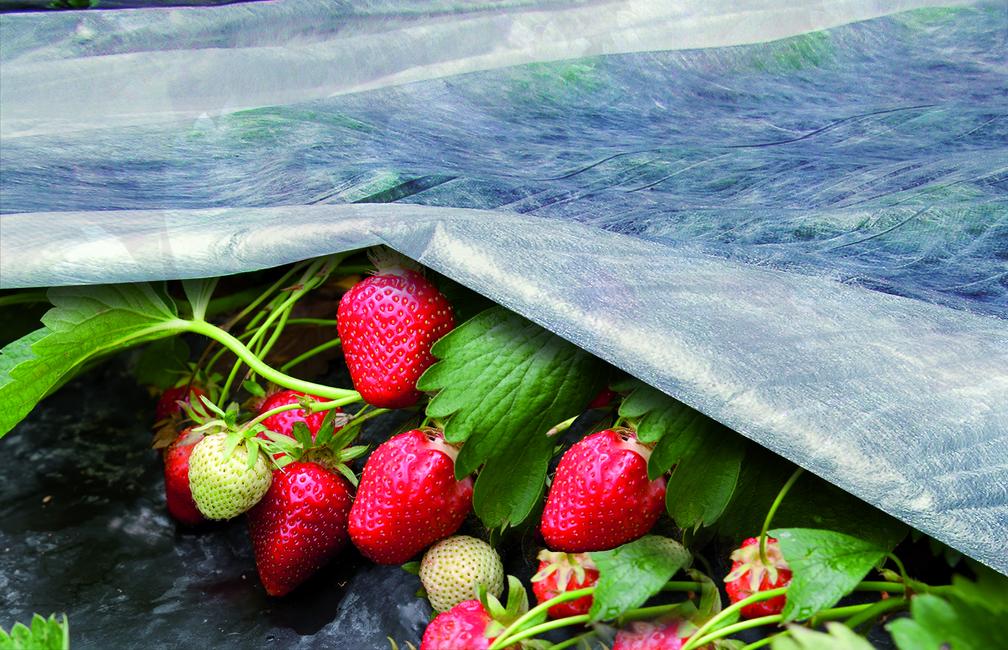 Ortoclima Light protective fleece