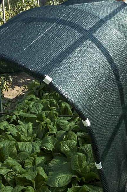 Soleado Pro Filet d'ombrage vert brise-vue