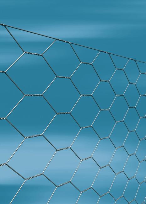 Trefort 51 Le grillage triple torsion universel