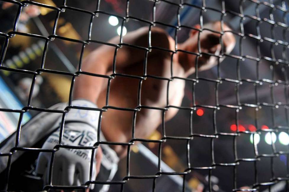 Black chain link mesh Ø 4 For MMA cages