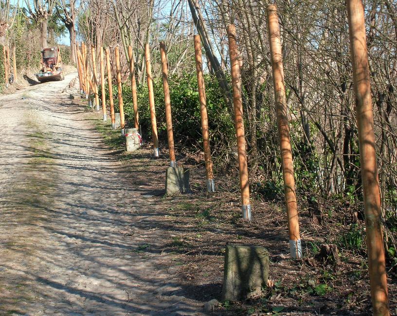 Turned pine post Ecological and cost-effective