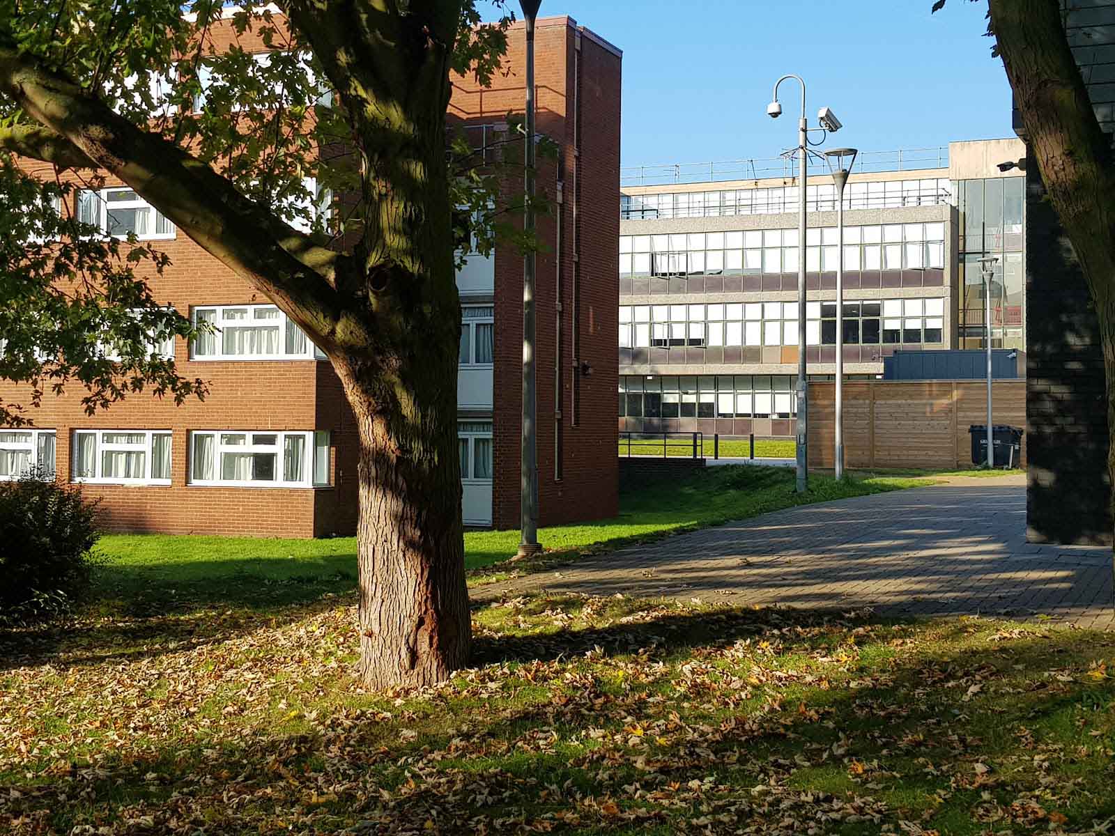 ᐅ Brunel University in Uxbridge (Greater London Hillingdon UB8 3PH