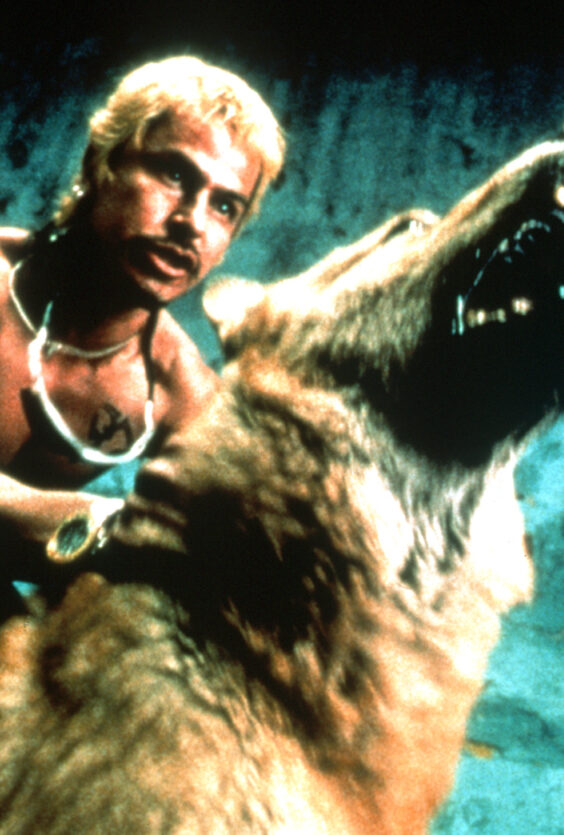 Amores perros 02