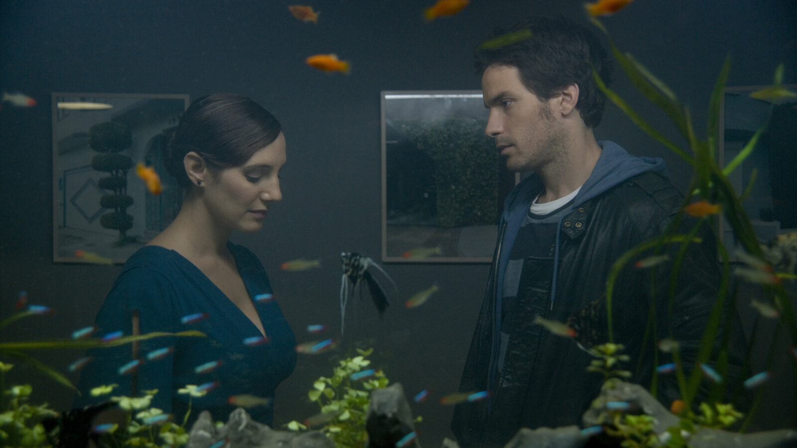Life of Fish 1