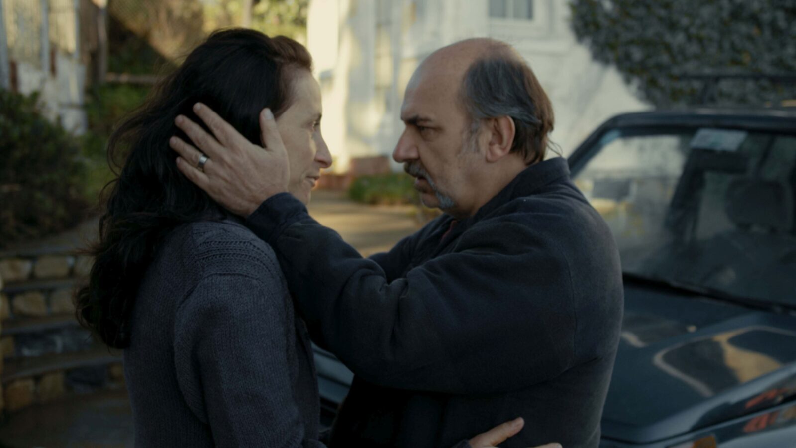 Aurora Still Image 3