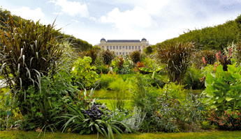Jardin des Plantes Jardin des Plantes, arrondissement paris, paris arrondissement, arrondissements paris