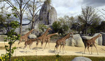 Zoo de Vincennes Zoo de Vincennes, arrondissement paris, paris arrondissement, arrondissements paris