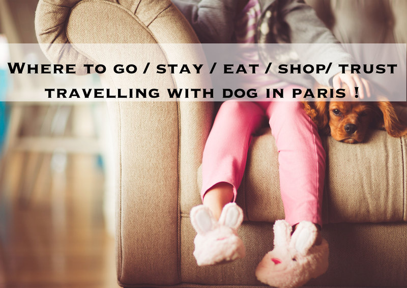Parts Of Paris Dog Friendly Parts Of Paris Dog Friendly