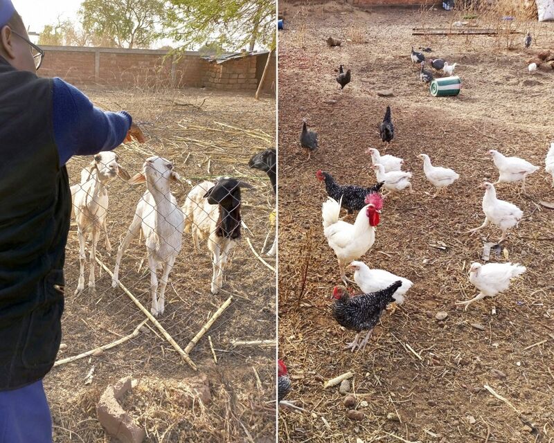 Et au milieu pousse une ferme - Projets Rosalie - Burkina Faso