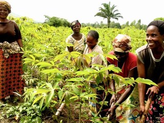 Agriculture