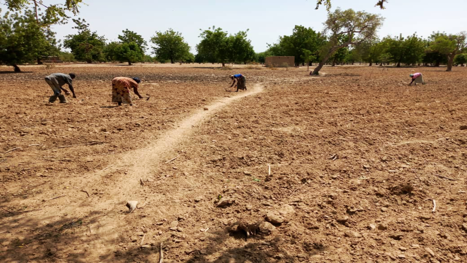 Et au milieu s'éleve une ferme  : Projet d’élevage dans une communauté rurale 
