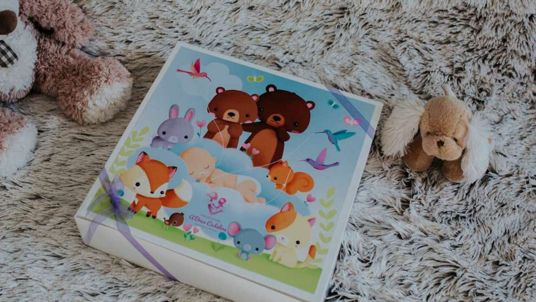 Boite pour les bébés prématurés : soutien aux bébés hospitalisés et à leurs familles