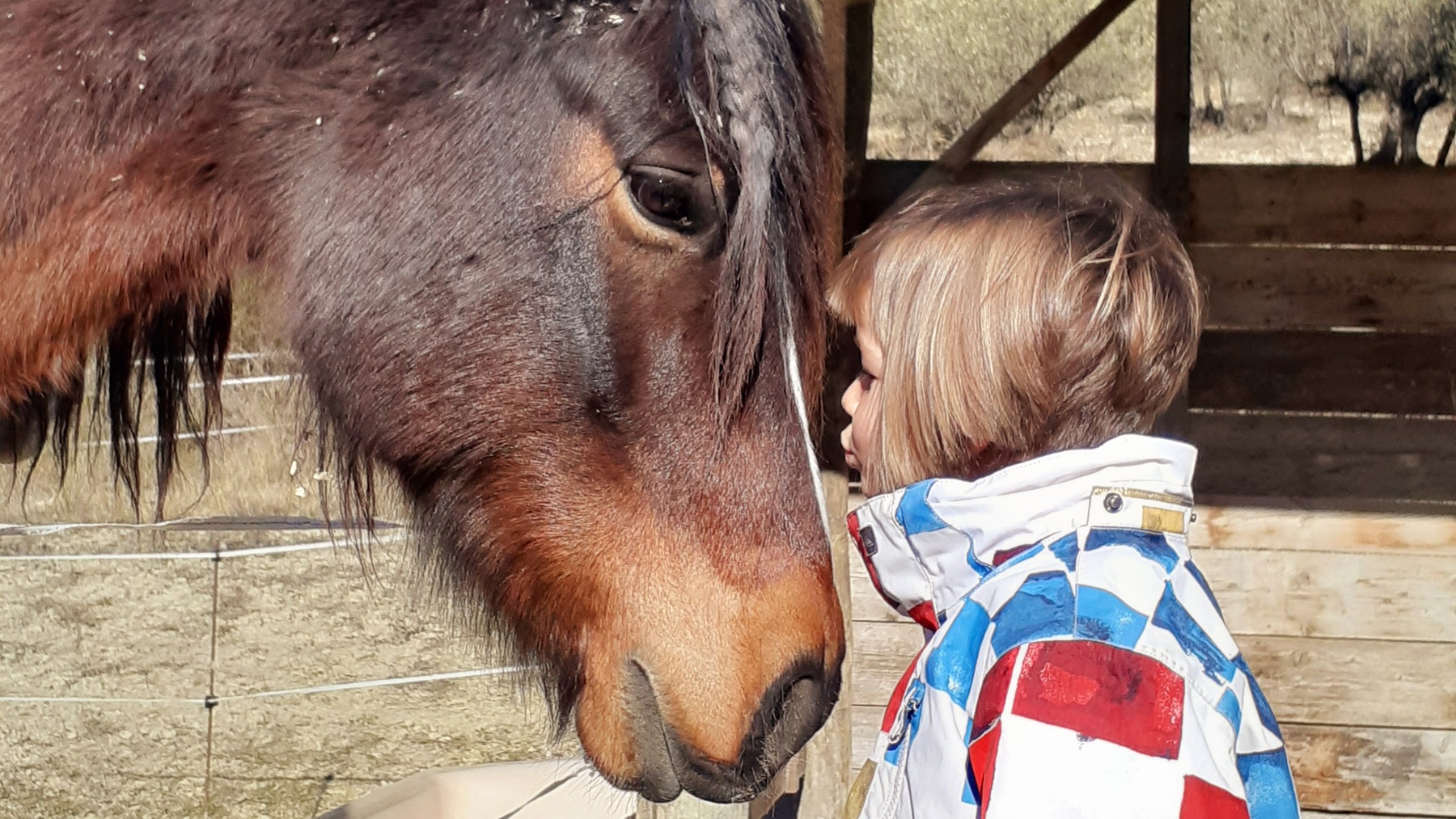 L'Oasis des animaux : Une relation bienveillante avec le vivant