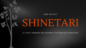 Développement Shinetari - 10%/an 4 ans : Développement et franchise